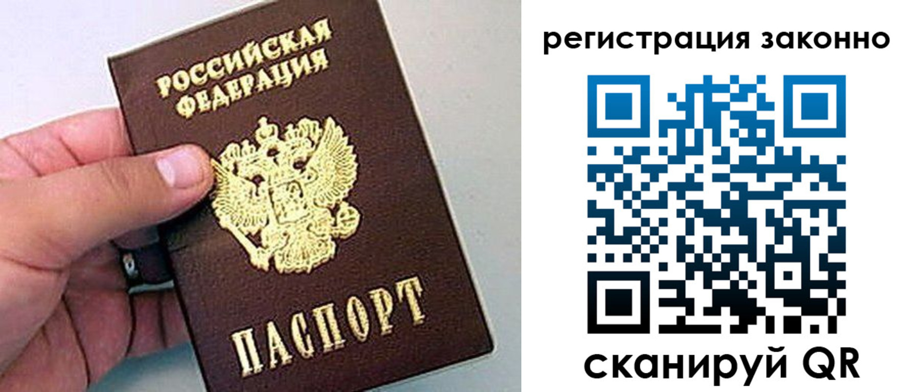 временная регистрация поиск в Щиграх